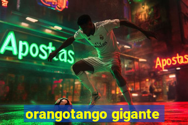 orangotango gigante